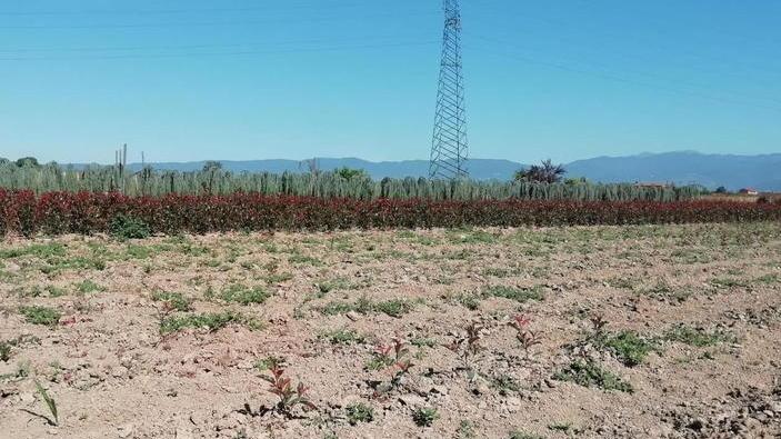 «Criminalità in agricoltura fenomeno vasto e in crescita»