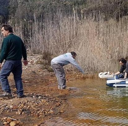 Dopo il laghetto di Terranera tocca alla dog beach di Mola 