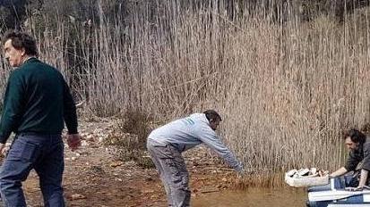 Dopo il laghetto di Terranera tocca alla dog beach di Mola