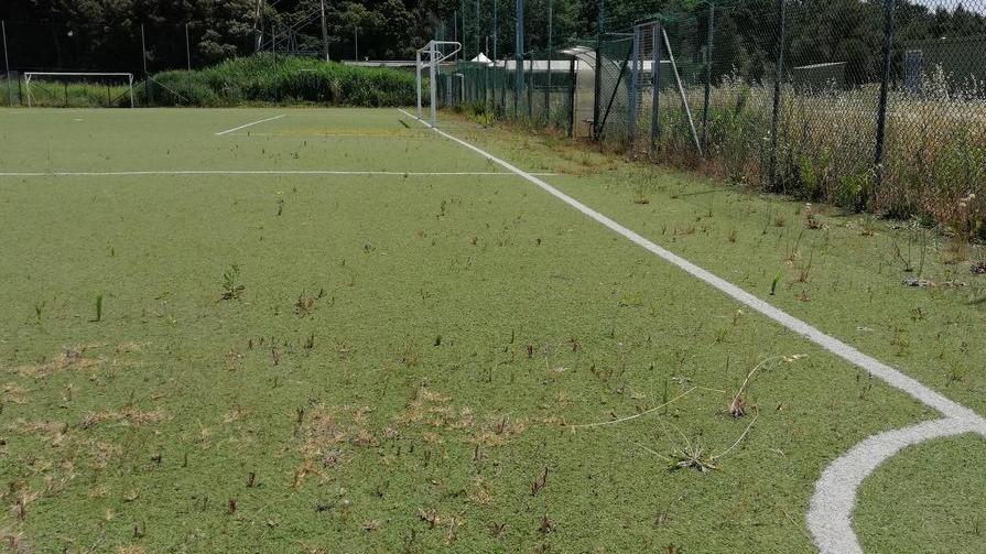 Il sindaco sul campo Priami: «Più sicuro con una transenna»