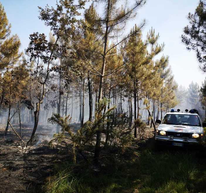 Due incendi nei boschi dello spaccio a Torre e Pinete