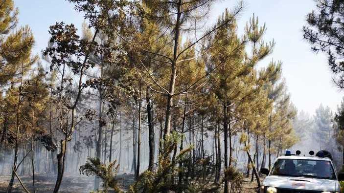 Due incendi nei boschi dello spaccio a Torre e Pinete