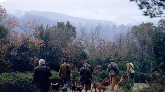 Cinghiali, caccia speciale per fermare l’assedio