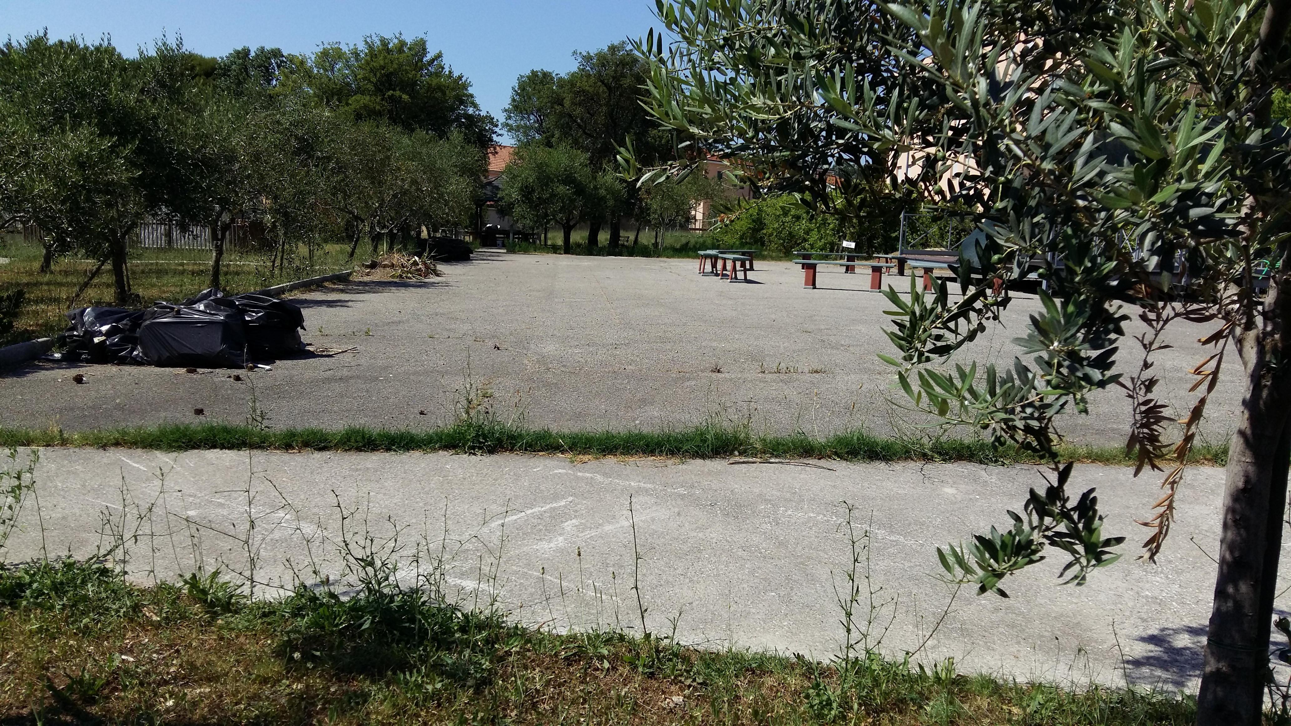 Il Parco del Mulino dove è stata ritrovata la pistola scacciacani