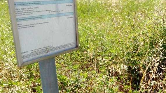 Erba alta accanto alla fermata del bus