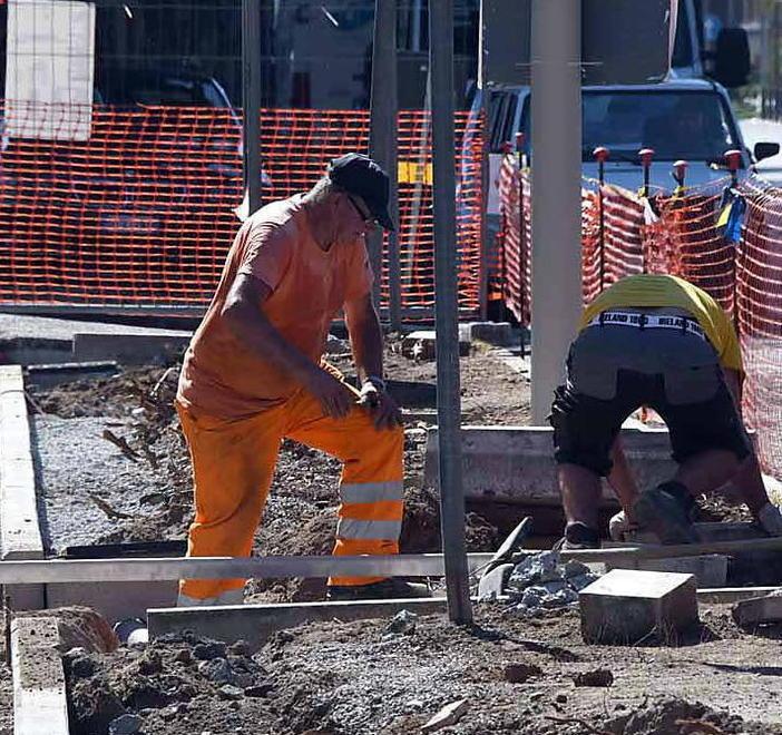 Scontro sui pini in consiglio Raggi: «Andremo avanti»