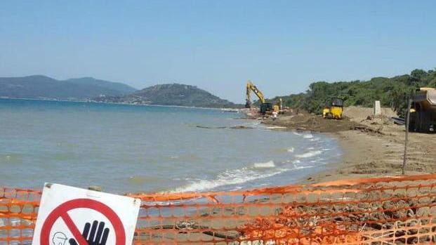 «Mare marrone ma guai a dirlo Critiche infinite»