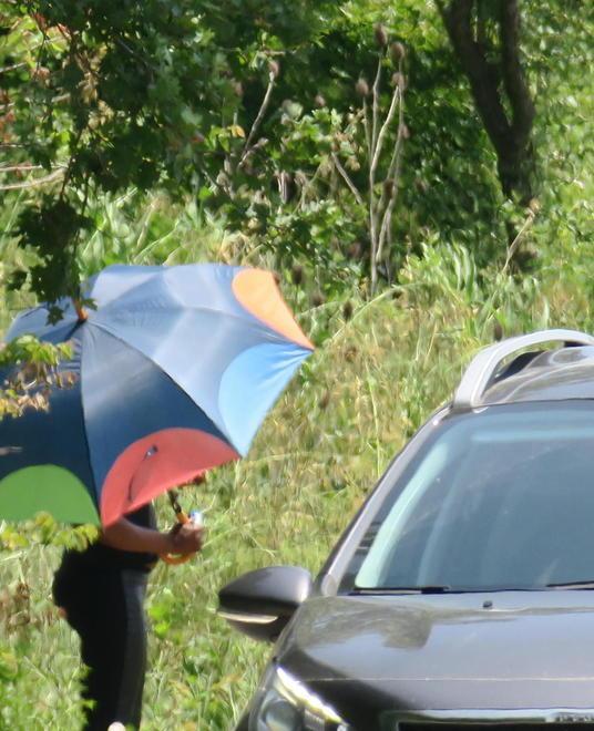 Il mercato delle nuove schiave aperto in strada giorno e notte 