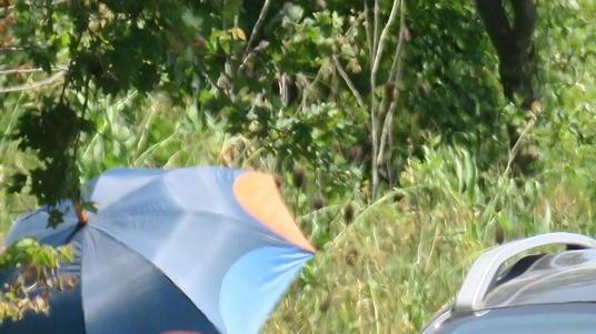 Il mercato delle nuove schiave aperto in strada giorno e notte