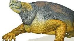 Dinosauro fossile «americano» trovato ad Alghero