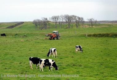 A rischio migliaia di aziende agricole della Nurra 