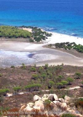 Loasi di Biderosa (Fontanesi) 