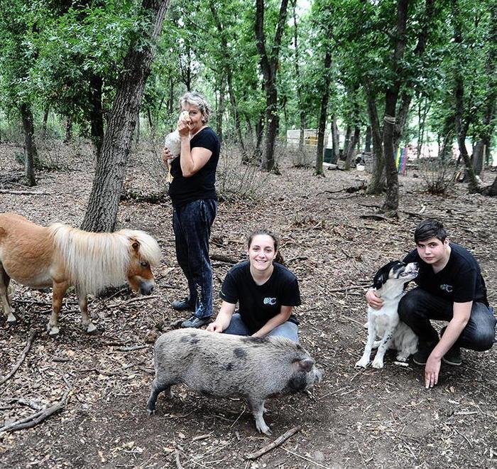 I bambini disabili e gli animali domestici insieme per giocare nel giardino dei sogni