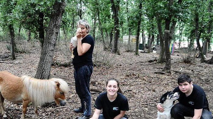 I bambini disabili e gli animali domestici insieme per giocare nel giardino dei sogni