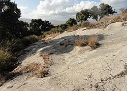 preistoriche scoperte nel Parco Mariani