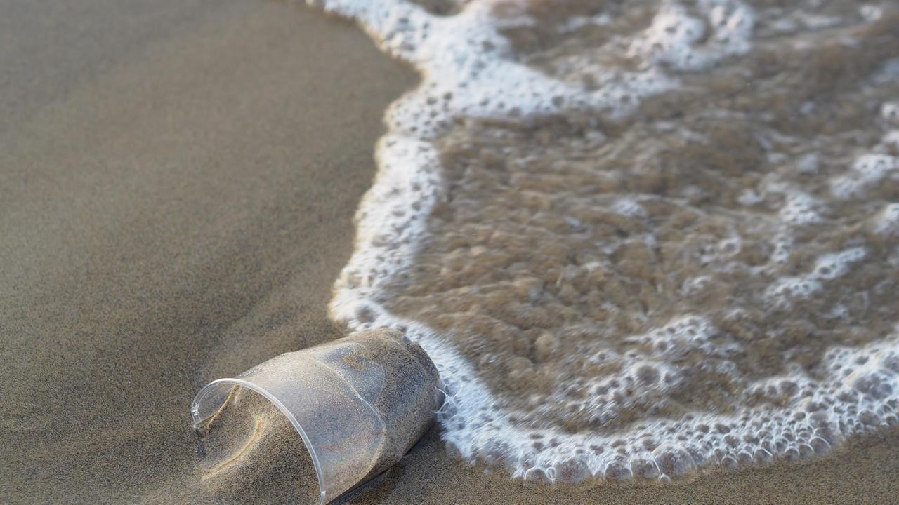 Ambiente e business oggi sposi: W i pionieri
