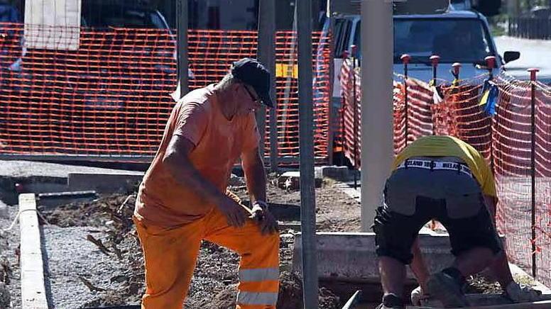 «Stop alla mattanza dei pini» Appello di Rc alla Scaletti