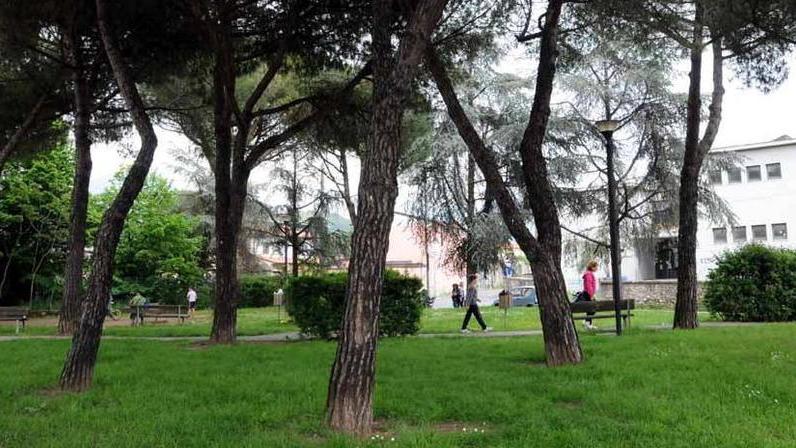 Bonifica da 225mila euro per eliminare i veleni dal parco della Grotta