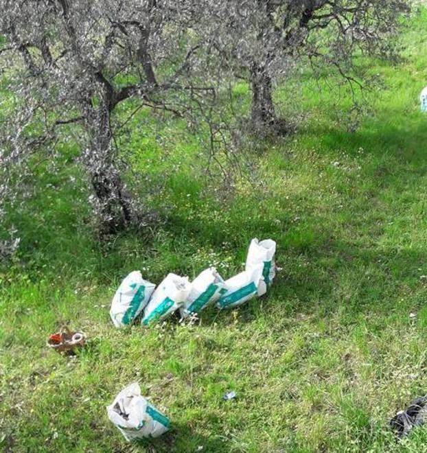 Rumori molesti, blitz dei vigili contro i ragazzini