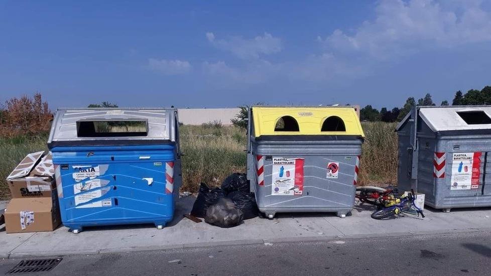 Rifiuti abbandonati in strada