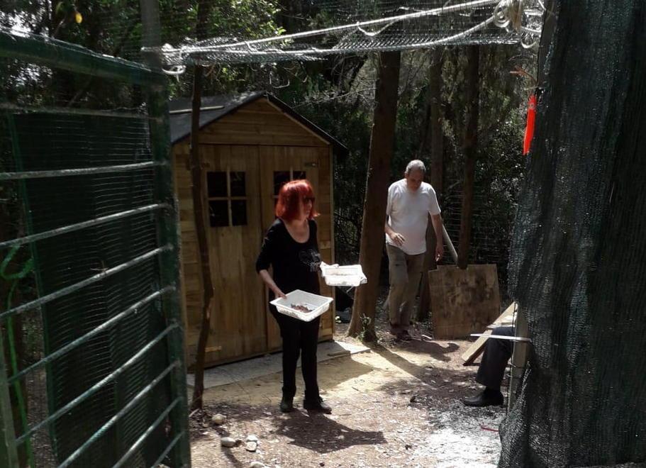 A villa Corridi la casina che coccola i gatti di nonna Miranda 