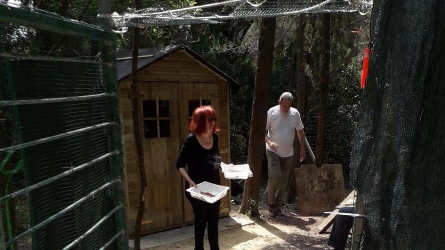 A villa Corridi la casina che coccola i gatti di nonna Miranda