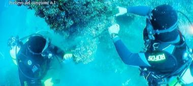 I sub che per conto della Marina militare hanno prelevato campioni di roccia dove si pensava ci fosse un sommergibile affondato e coperto con una colata di cemento