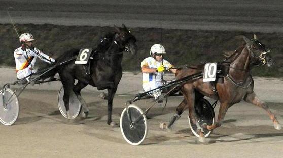 All’ippodromo dei Pini la prima volta dei puledri
