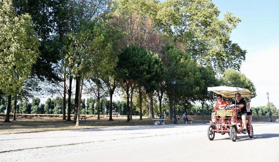 Stop ai risciò, al Comune il primo round: il Tar boccia il ricorso dei biciclettai 