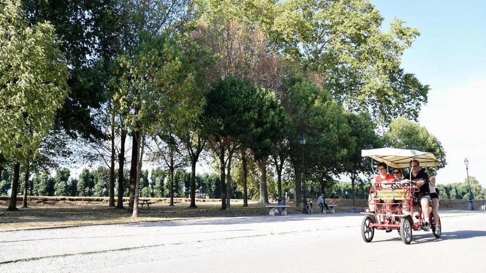 Stop ai risciò, al Comune il primo round: il Tar boccia il ricorso dei biciclettai