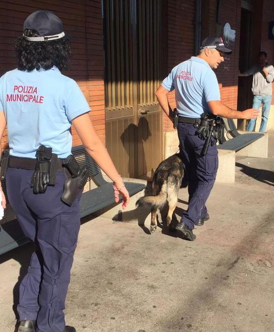 Nucleo antidroga nella zona della Stazione con tre agenti della Municipale e due cani 