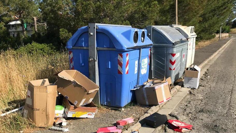 Rifiuti a una batteria di cassonetti in via Solferino, alle Spianate