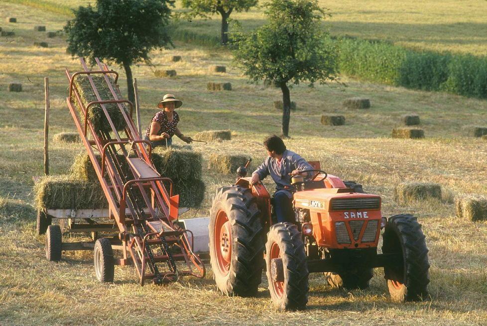 Cinque milioni di euro per le imprese agricole del distretto rurale 