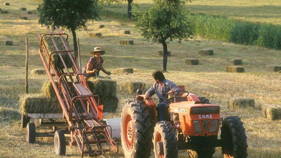 Cinque milioni di euro per le imprese agricole del distretto rurale