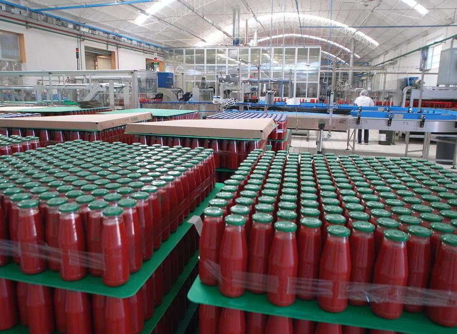 Guai dal meteo e troppe spese per i produttori di pomodori 