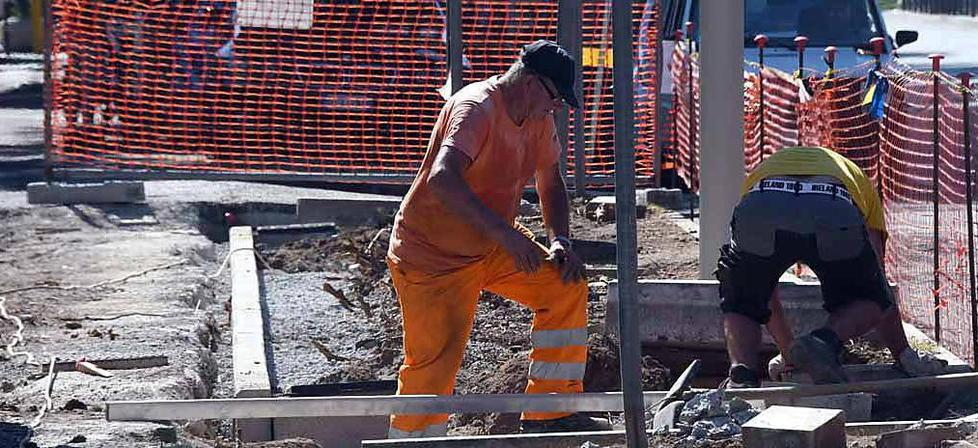 «Sul taglio dei pini l’amministrazione adesso ci ripensi» 