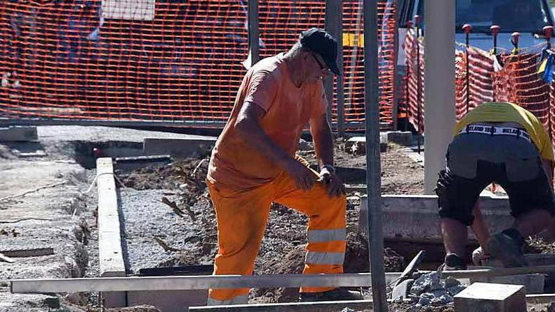 «Sul taglio dei pini l’amministrazione adesso ci ripensi»