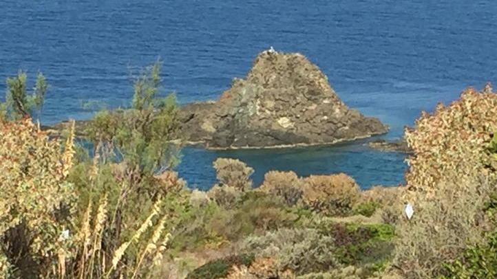 Taglio vegetazione al Falcone