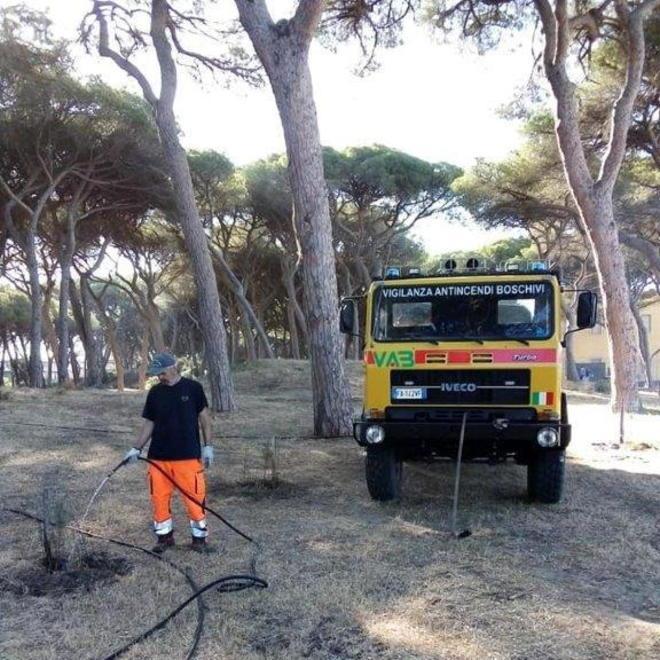 Volontari al lavoro per curare gli alberi