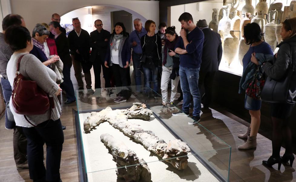 Visite guidate serali al museo del Delta Antico Si comincia venerdì 