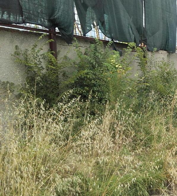 «Piazzali pieni di rifiuti la Lonzi è pericolosa»