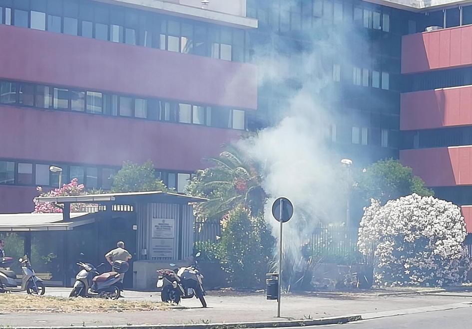 Brucia aiuola in via Meucci