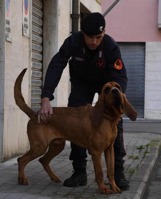 Dopo il furto e la rapina fugge lasciando una lettera 