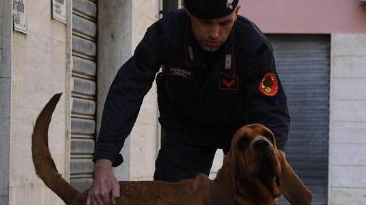 Dopo il furto e la rapina fugge lasciando una lettera