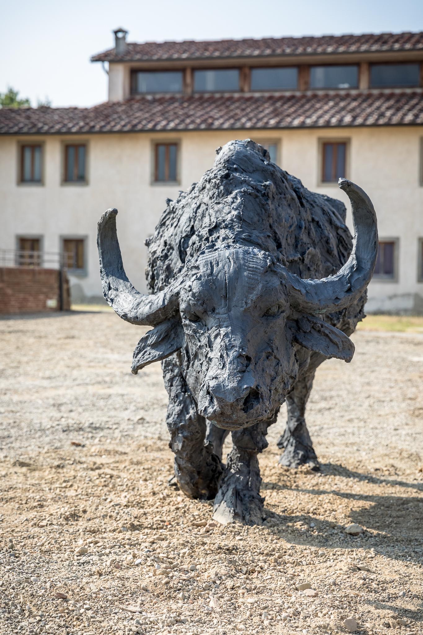 Firenze viva e maestosi animali nelle opere di Listri e Rivalta 