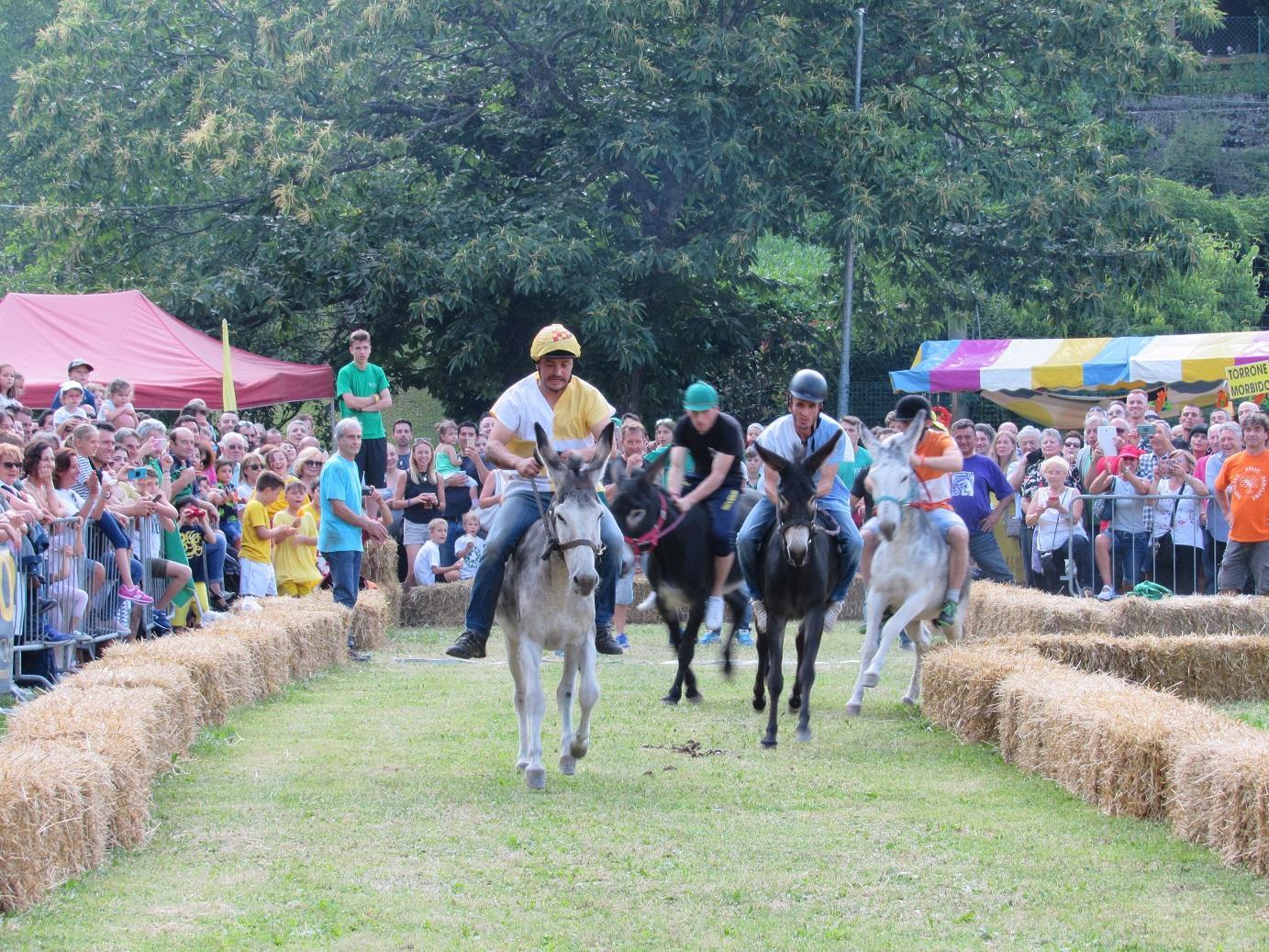 Week end, gli appuntamenti del fine settimana nel Modenese 