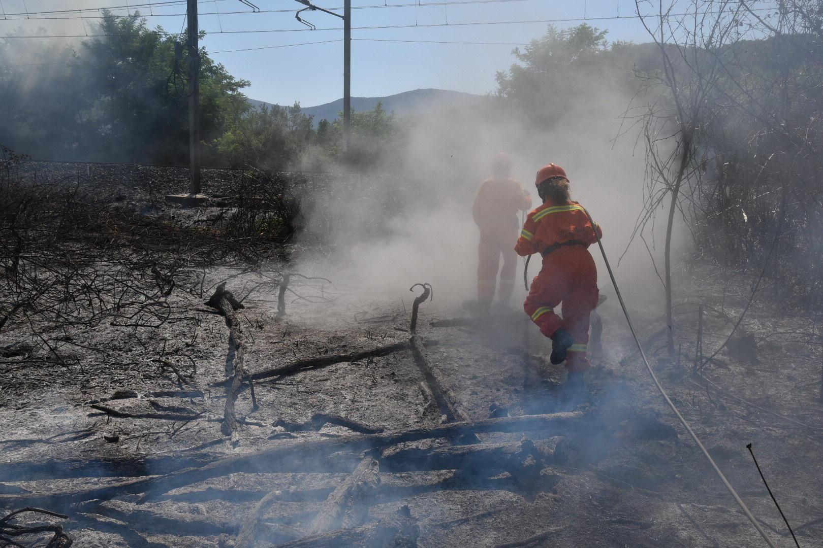 L'incendio lungo la ferrovia (foto Bf)