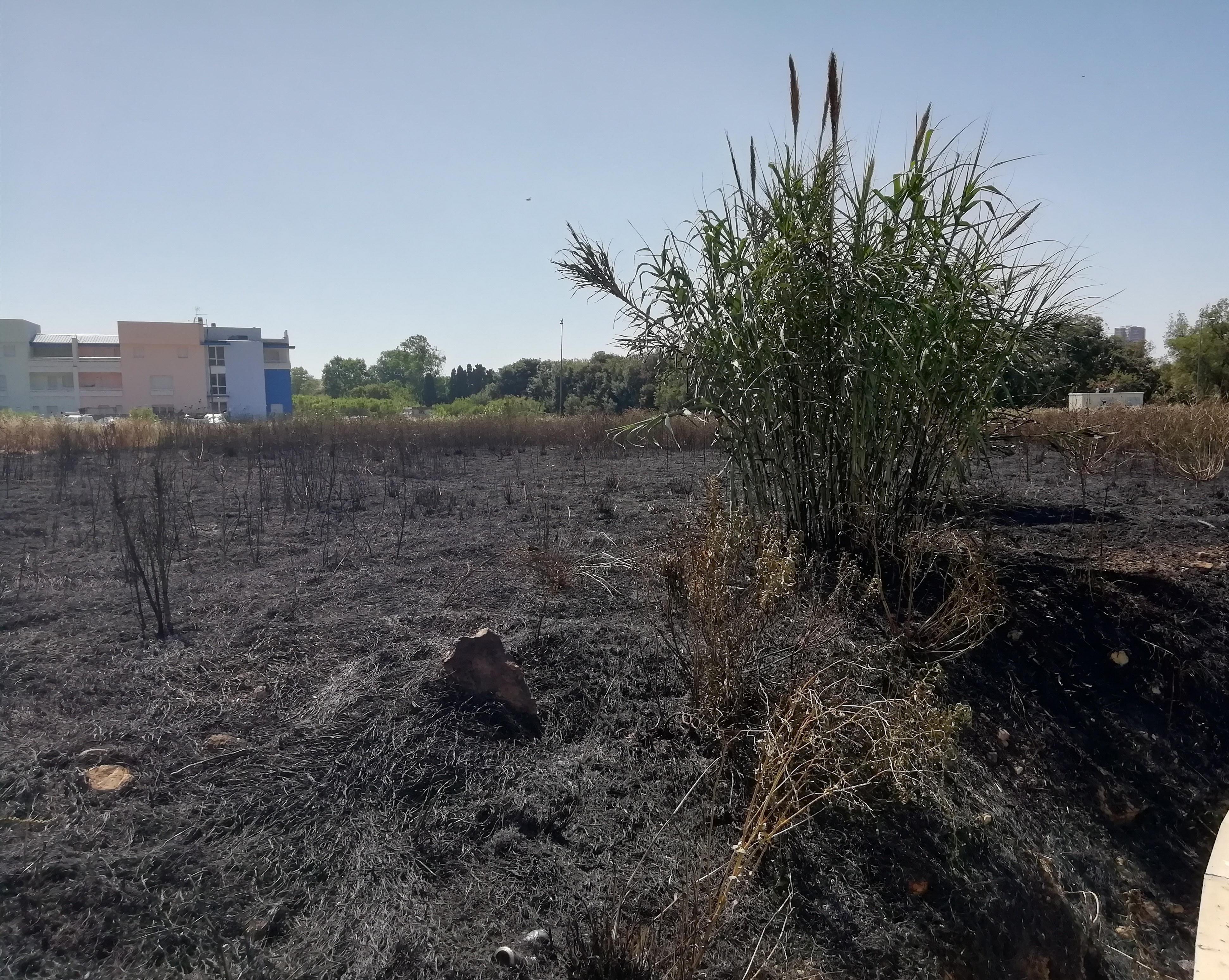 Incendio nel parcheggio del Parco Levante: in fumo 5000 metri quadrati di sterpaglie  