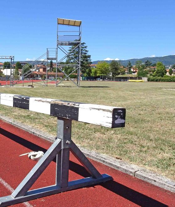 Campo scuola chiuso per disinfestazione vespe