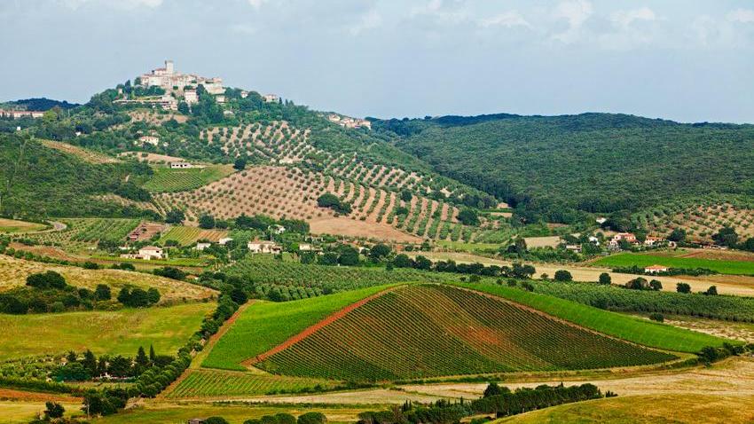 Gli ospiti di lusso di Oberoi bevono Terraria e Viognier
